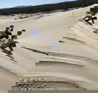 Port Stephens Bush Beach and Sand Dune 4WD Tag-Along Tour - Getaway Accommodation