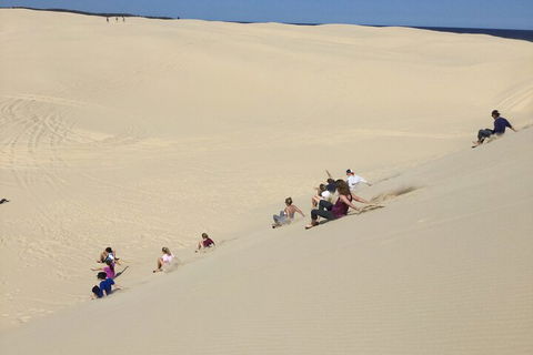 Port Stephens Bush, Beach And Sand Dune 4WD Passenger Tour - Getaway Accommodation 4