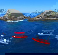3-Hour Byron Bay Certified Scuba Diving Tour - Getaway Accommodation