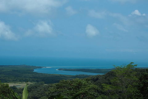 Cape Tribulation, Daintree Rainforest And Wildlife Tour - Getaway Accommodation 1