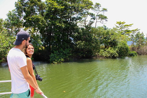 Cape Tribulation, Daintree Rainforest And Wildlife Tour - Getaway Accommodation 2