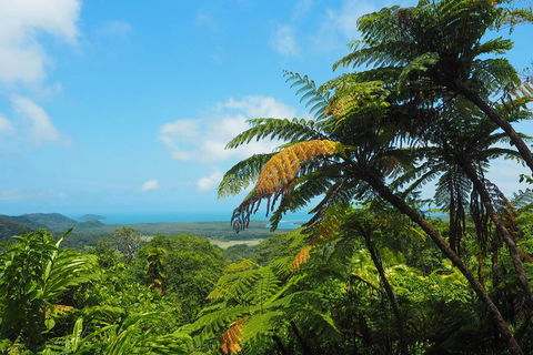 Cape Tribulation, Daintree Rainforest And Wildlife Tour - Getaway Accommodation 3