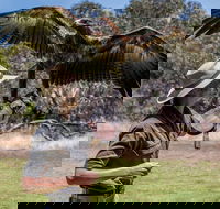 One Day Kangaroo Island Sip  See tour with return ferry transfers from Adelaide - Getaway Accommodation