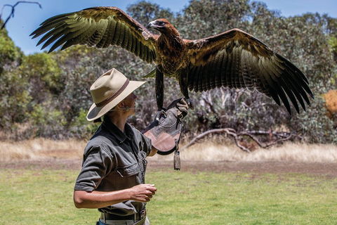 One Day Kangaroo Island Sip & See Tour With Return Ferry Transfers From Adelaide - Getaway Accommodation 0
