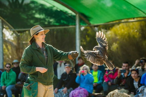 One Day Kangaroo Island Sip & See Tour With Return Ferry Transfers From Adelaide - Getaway Accommodation 3