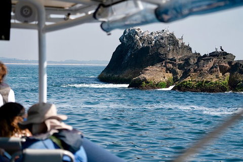 Julian Rocks Byron Bay Cruise - Getaway Accommodation 2