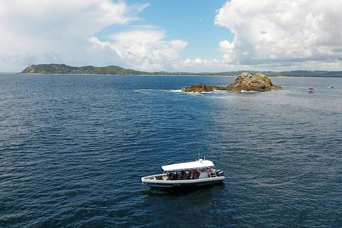Julian Rocks Byron Bay Cruise - Getaway Accommodation 5