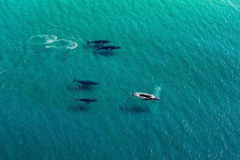 40-45 Minute Port Stephens And Stockton Beach Helicopter Flight - For 2 - Getaway Accommodation 0