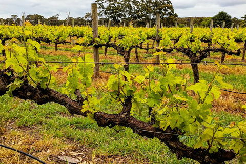 Margaret River Indulge And Discover Day Tour - Getaway Accommodation 5