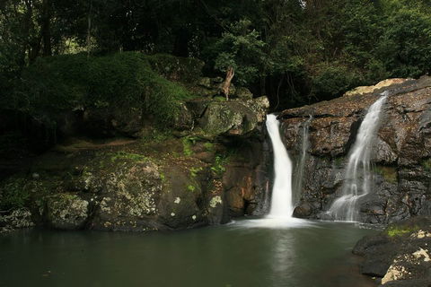 Hinterland Magic & Glow-worm Experience - Getaway Accommodation 2