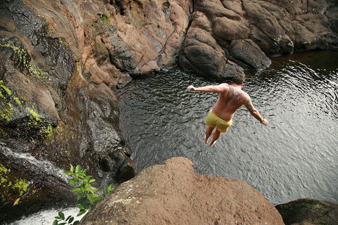 Hinterland Magic & Glow-worm Experience - Getaway Accommodation 3