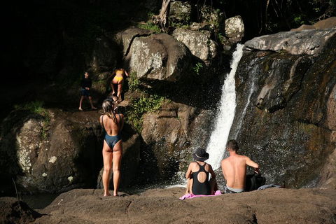 Hinterland Magic & Glow-worm Experience - Getaway Accommodation 5