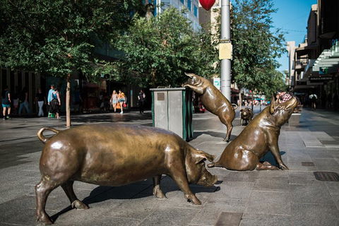 Guided Walking Tour In Adelaide - Getaway Accommodation 4