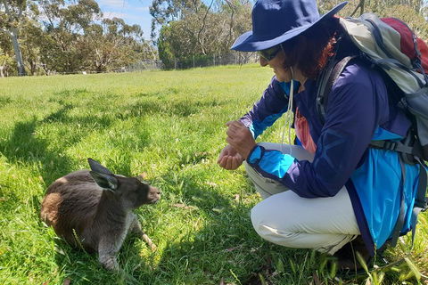 Mount Lofty Hike And Cleland Wildlife Park Day Trip From Adelaide - Getaway Accommodation 1