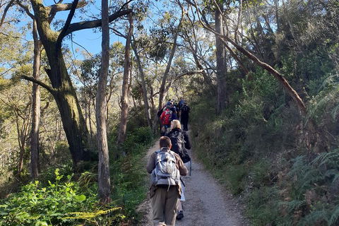 Mount Lofty Hike And Cleland Wildlife Park Day Trip From Adelaide - Getaway Accommodation 3