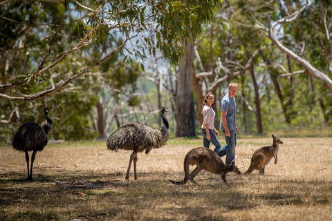 Mount Lofty Hike And Cleland Wildlife Park Day Trip From Adelaide - Getaway Accommodation 5