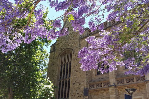 Cultural Caper Adelaide Walking Tour - Getaway Accommodation 1