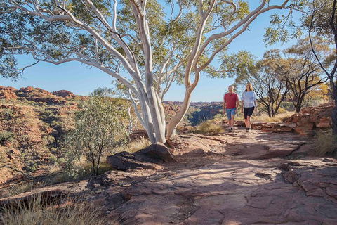 3-Day Tour From Uluru (Ayers Rock) To Alice Springs Via Kings Canyon - Getaway Accommodation 1