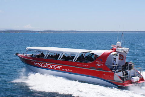 Whale Watching Jervis Bay - Getaway Accommodation 1