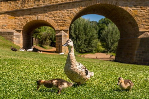 Richmond Historic Afternoon Tour From Hobart - Getaway Accommodation 1