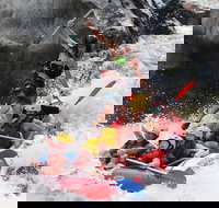 Barron Gorge National Park Half-Day White Water Rafting from Cairns or Port Douglas