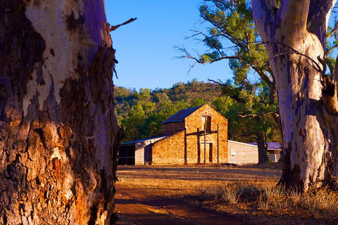 Yura Udnyu - Our Culture, Your Culture (Aboriginal Cultural Walk) - Getaway Accommodation 4