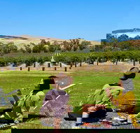 Private Picnic and Wine Tasting Experience in Barossa Valley - Getaway Accommodation