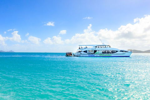 Whitehaven Beach And Daydream Island Cruise - Getaway Accommodation 2