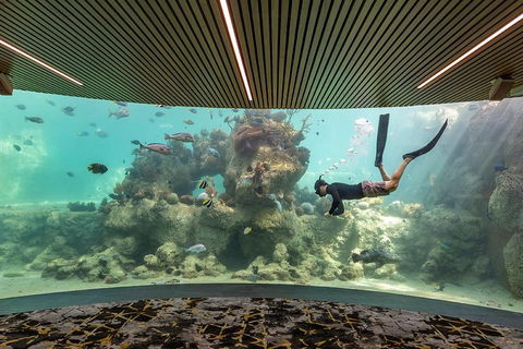 Whitehaven Beach And Daydream Island Cruise - Getaway Accommodation 4