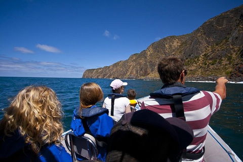 Seal Island Boat Tour From Victor Harbor - Getaway Accommodation 0