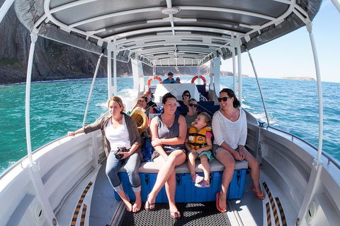 Seal Island Boat Tour From Victor Harbor - Getaway Accommodation 1
