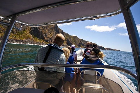 Seal Island Boat Tour From Victor Harbor - Getaway Accommodation 2