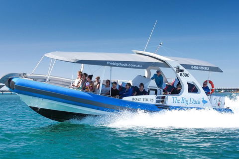 Seal Island Boat Tour From Victor Harbor - Getaway Accommodation 3