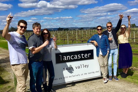 Swan Valley Tour From Perth: Wine, Beer And Chocolate Tastings - Getaway Accommodation 1