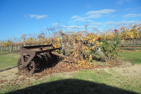 Swan Valley Tour From Perth: Wine, Beer And Chocolate Tastings - Getaway Accommodation 3