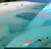 Fitzroy Island Day Trip from Cairns