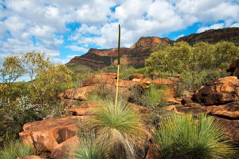 6-Day Eyre Peninsula & Flinders Ranges Adventure Tour - Getaway Accommodation 1