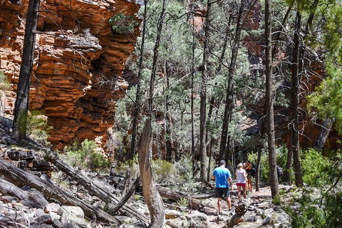 6-Day Eyre Peninsula & Flinders Ranges Adventure Tour - Getaway Accommodation 5