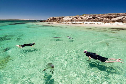 10 Day Adelaide To Perth Private Tour - The Great Australian Wilderness Journey - Getaway Accommodation 1