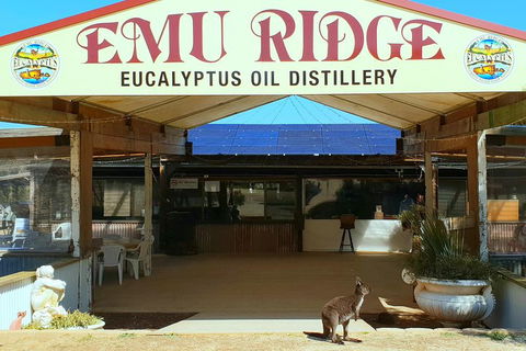 2 Day Ultimate Kangaroo Island With Return Ferry - Getaway Accommodation 3