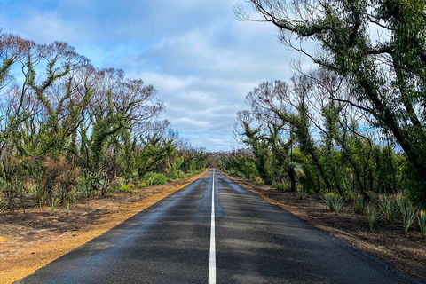 2 Day Ultimate Kangaroo Island With Return Ferry - Getaway Accommodation 4