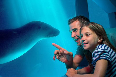 SEA LIFE Sunshine Coast Aquarium Entrance Ticket - Getaway Accommodation 2