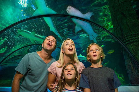 SEA LIFE Sunshine Coast Aquarium Entrance Ticket - Getaway Accommodation 3