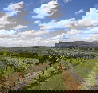 Hunter Valley Wine Tour from Sydney incl Lunch Cheese Chocolate and Distillery - Getaway Accommodation