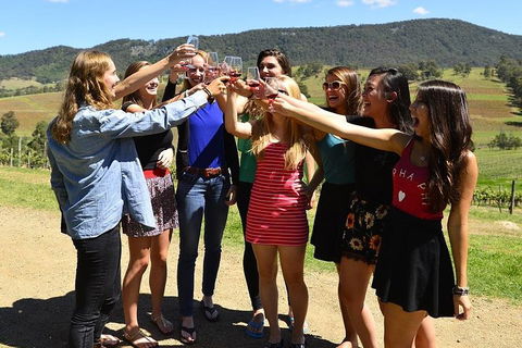Hunter Valley Wine Tour From Sydney Incl Lunch, Cheese, Chocolate And Distillery - Getaway Accommodation 3