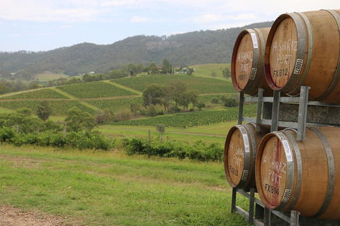 Hunter Valley Wine Tour From Sydney Incl Lunch, Cheese, Chocolate And Distillery - Getaway Accommodation 5