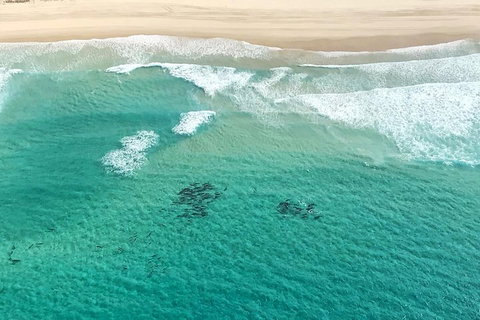 Coastal Helicopter Shared Flight - 20 Minutes - Getaway Accommodation 4