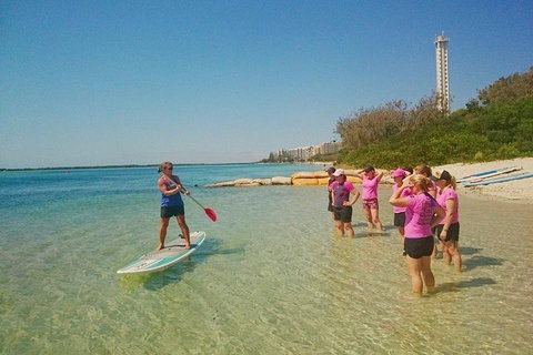 Golden Beach 1-Hour Stand-Up Paddleboard Hire On The Sunshine Coast - Getaway Accommodation 1