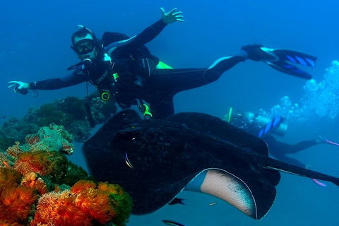 Scuba Dive The S.S. Yongala Wreck On The Great Barrier Reef. - Getaway Accommodation 0