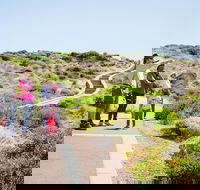 Margaret River Coastal and Wildlife Eco Trip from Busselton or Dunsborough - Getaway Accommodation